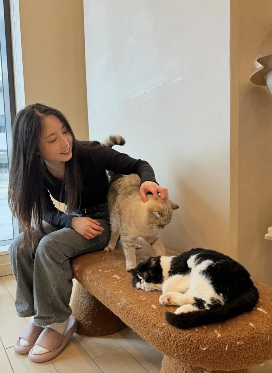 Amy Tsai
